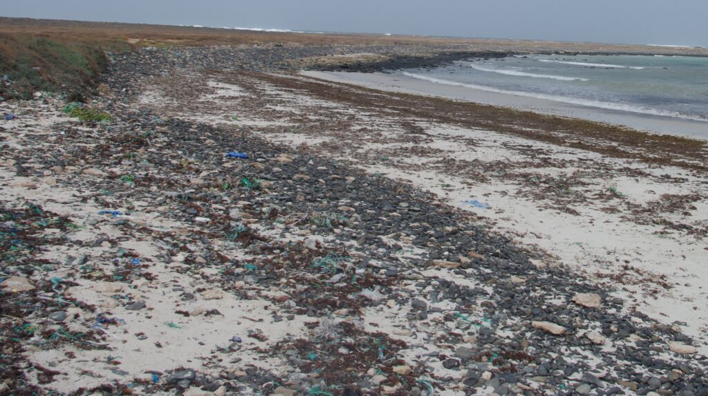 écologie du kite