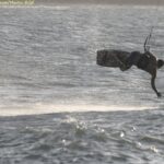 kitesurf a Salinas