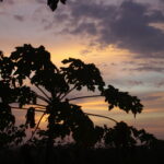 sunset salinas Colombie